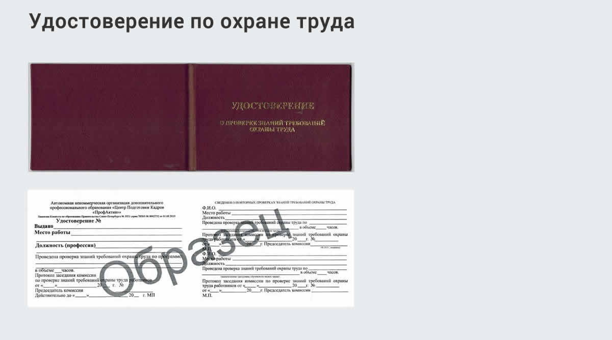  Дистанционное повышение квалификации по охране труда и оценке условий труда СОУТ в Партизанске