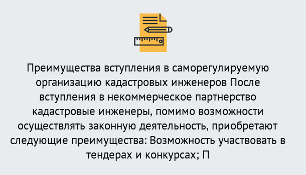 Почему нужно обратиться к нам? Партизанск Что дает допуск СРО кадастровых инженеров?