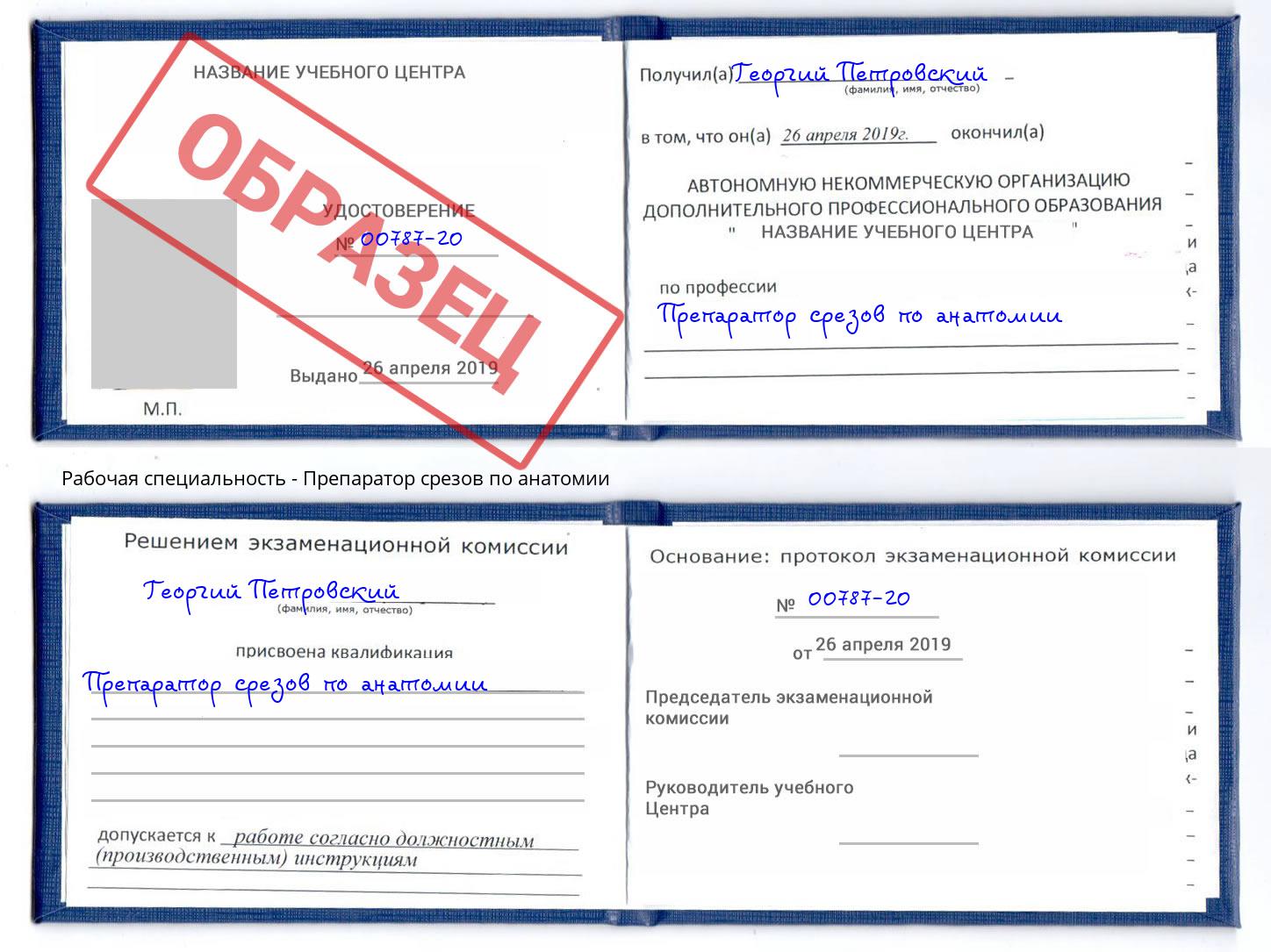 Препаратор срезов по анатомии Партизанск