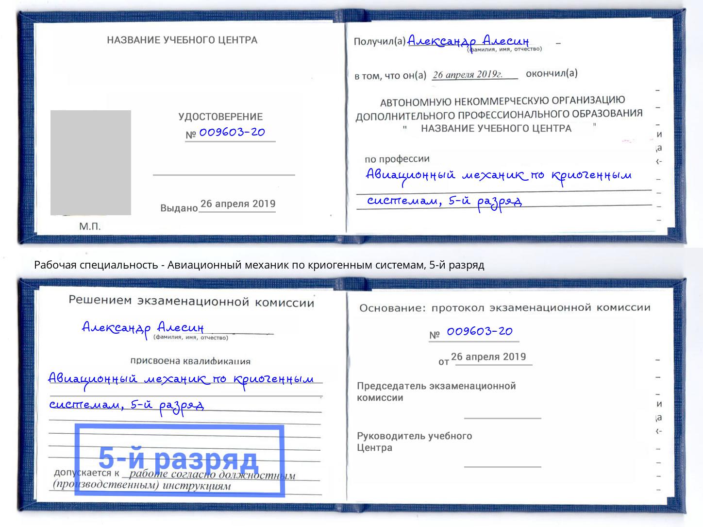 корочка 5-й разряд Авиационный механик по криогенным системам Партизанск