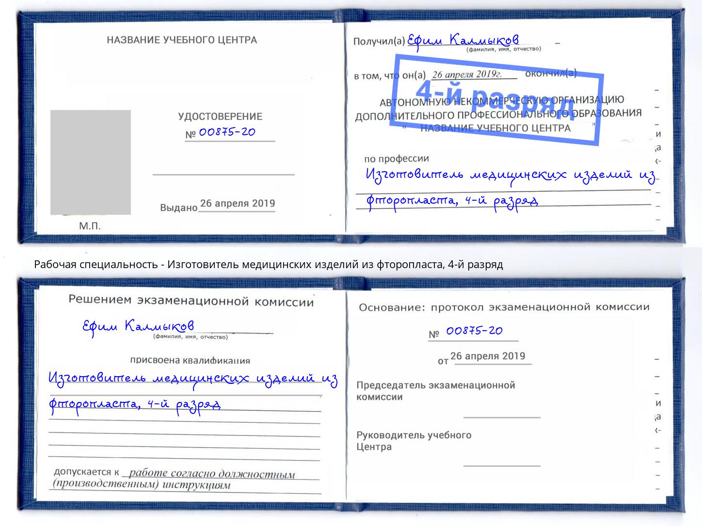 корочка 4-й разряд Изготовитель медицинских изделий из фторопласта Партизанск