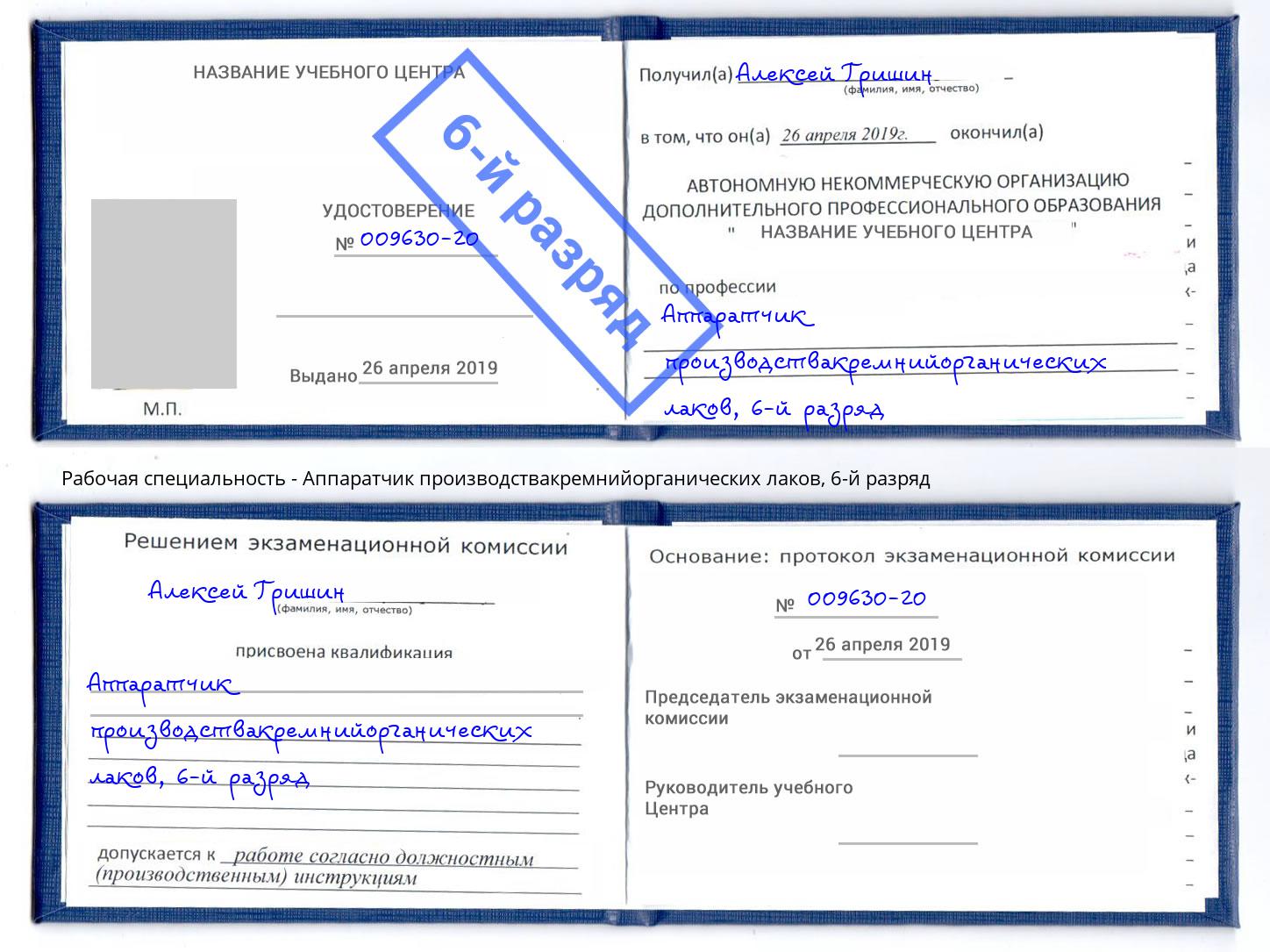 корочка 6-й разряд Аппаратчик производствакремнийорганических лаков Партизанск