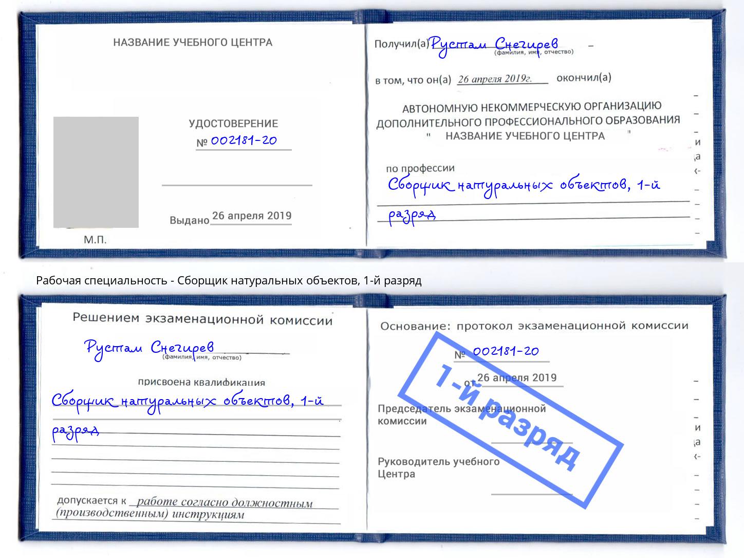 корочка 1-й разряд Сборщик натуральных объектов Партизанск