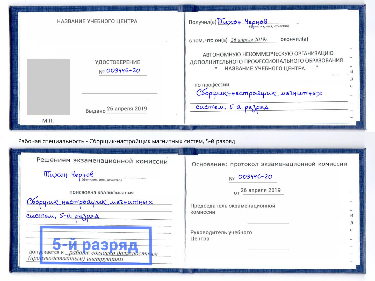 корочка 5-й разряд Сборщик-настройщик магнитных систем Партизанск